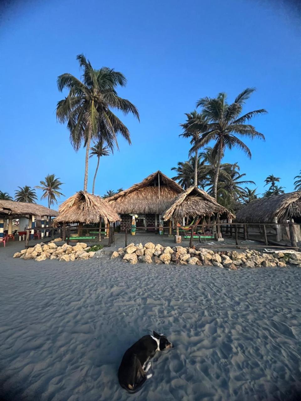 Antara Del Mar Hotel San Bernardo del Viento Eksteriør billede